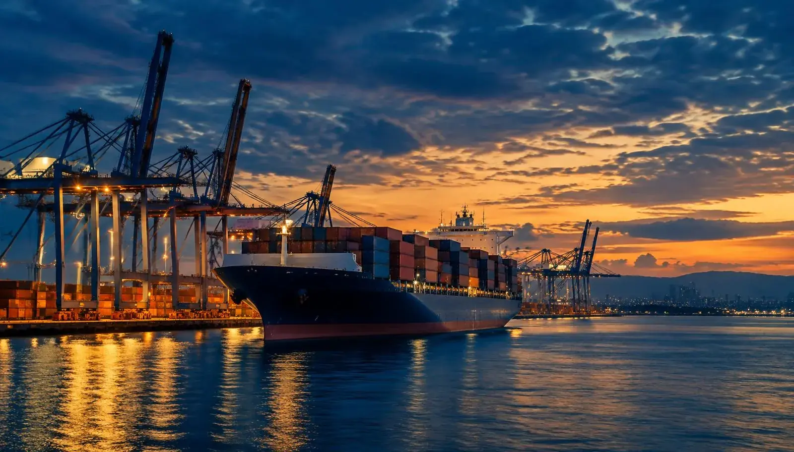 Import & Export Support